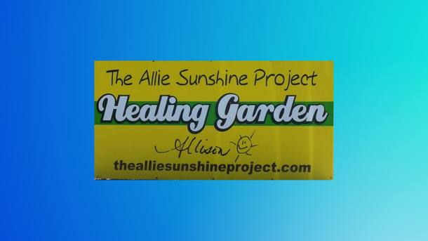 Jeremy and Lynn Hayes - Two Incredible Humans Pioneering the Allie Sunshine Project